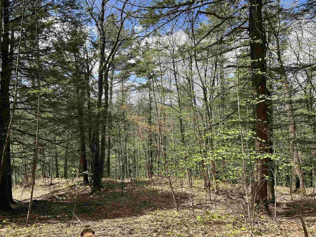 188 Rattlesnake Mountain Road Townshend VT 05353