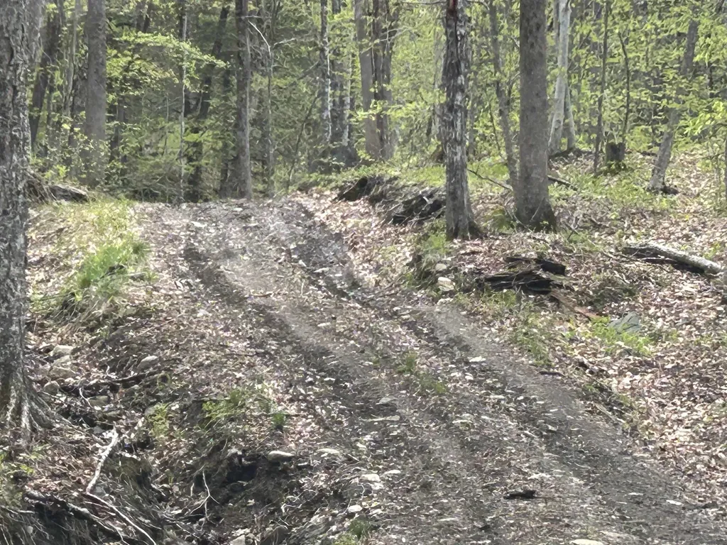188 Rattlesnake Mountain Road Townshend VT 05353