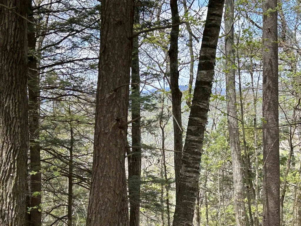 188 Rattlesnake Mountain Road Townshend VT 05353