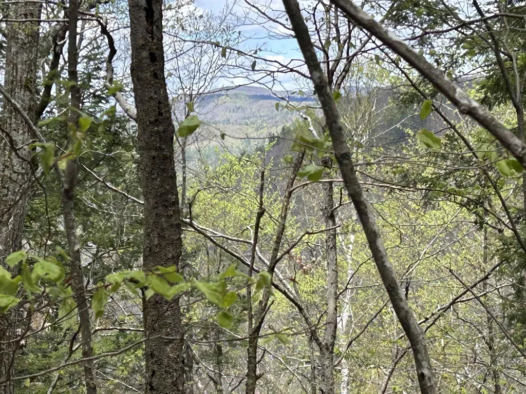 188 Rattlesnake Mountain Road Townshend VT 05353