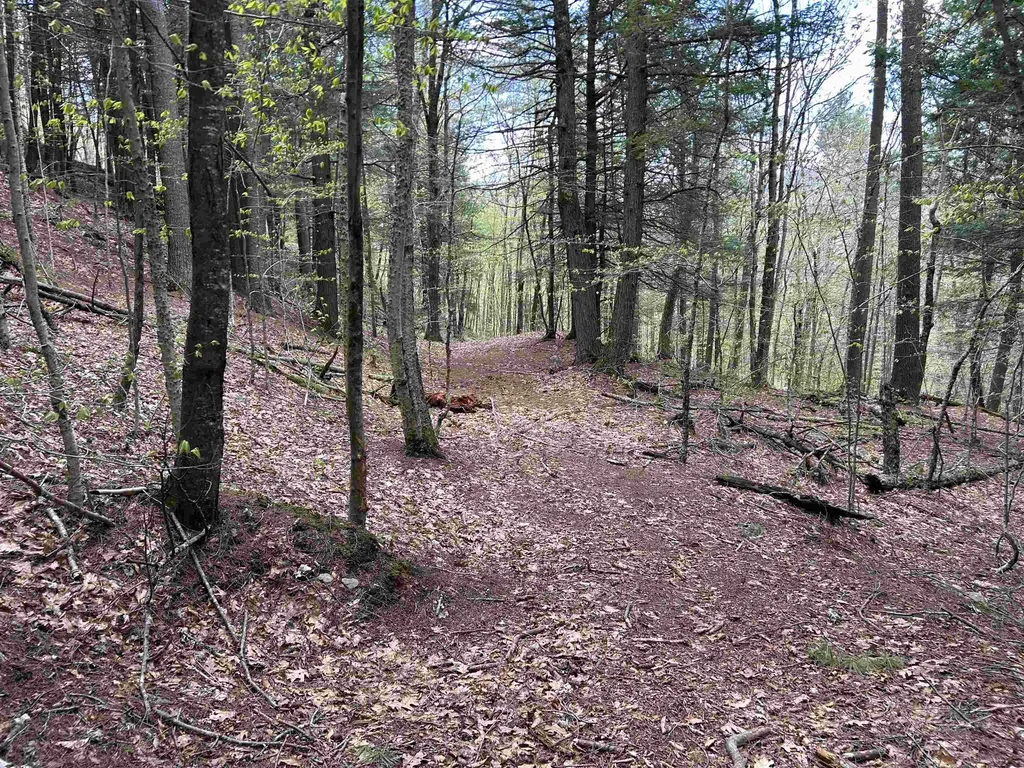 188 Rattlesnake Mountain Road Townshend VT 05353
