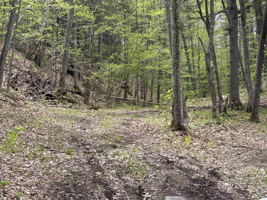 188 Rattlesnake Mountain Road Townshend VT 05353