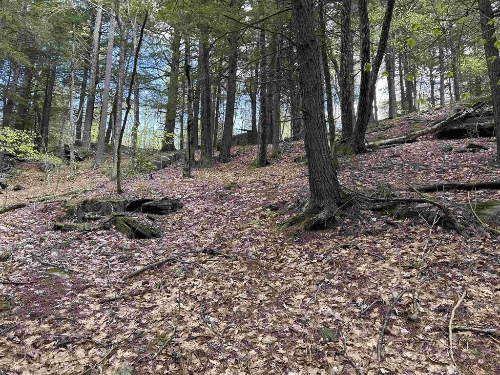 188 Rattlesnake Mountain Road Townshend VT 05353
