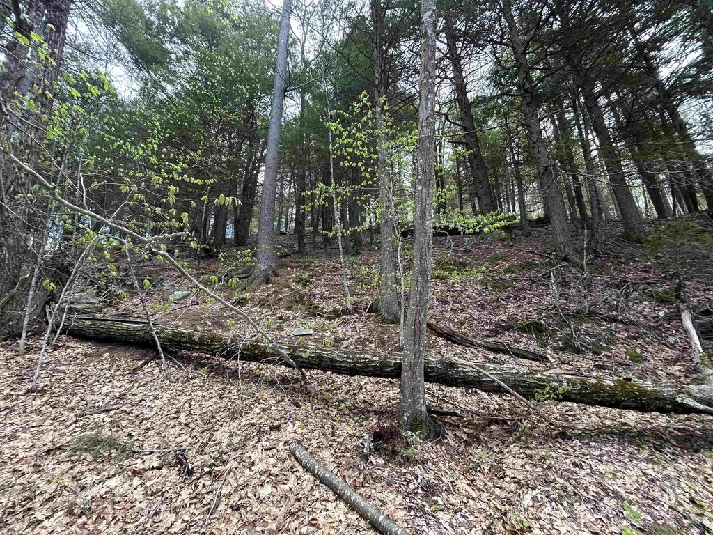 188 Rattlesnake Mountain Road Townshend VT 05353