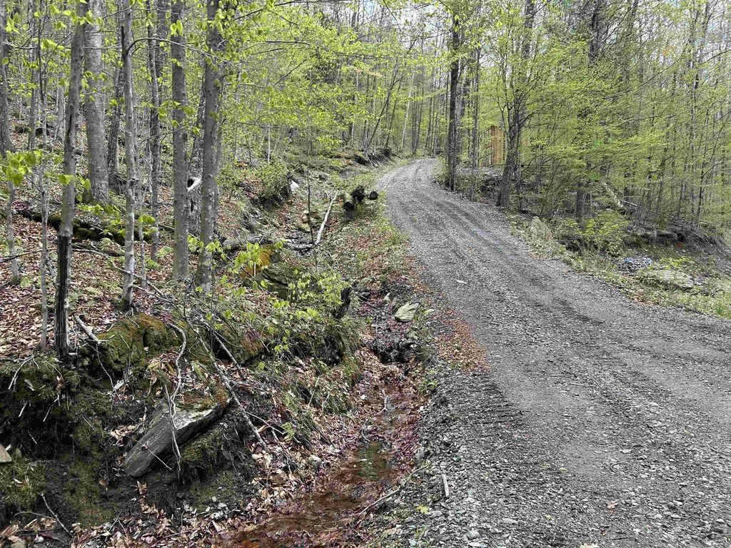 188 Rattlesnake Mountain Road Townshend VT 05353