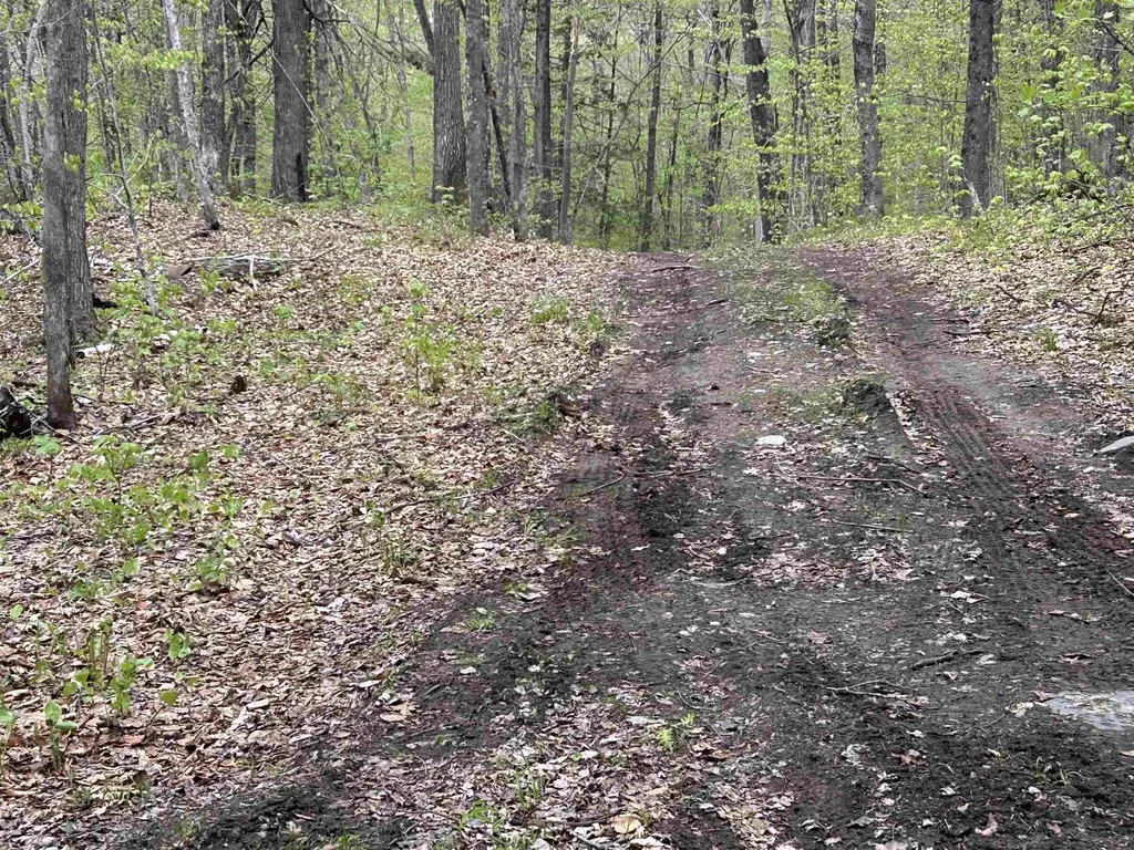188 Rattlesnake Mountain Road Townshend VT 05353