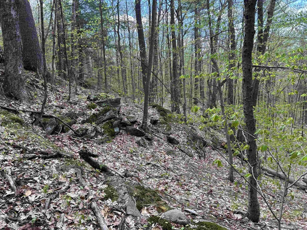 188 Rattlesnake Mountain Road Townshend VT 05353
