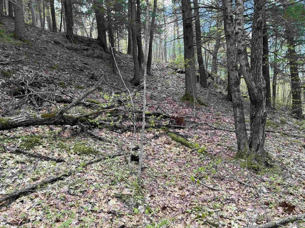 188 Rattlesnake Mountain Road Townshend VT 05353