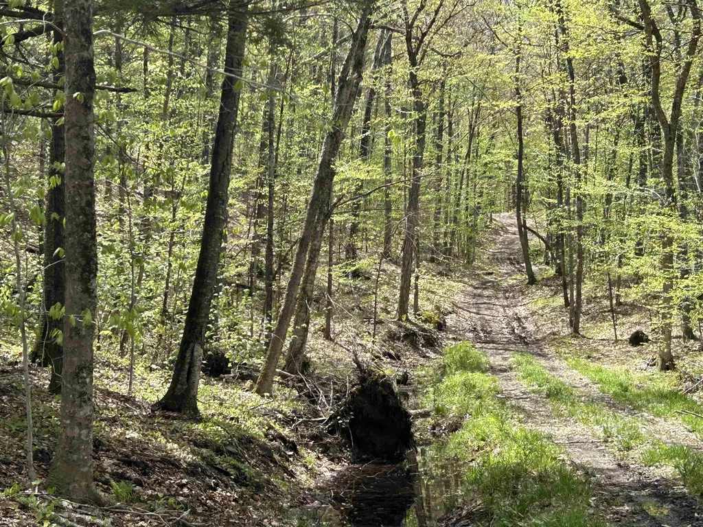 188 Rattlesnake Mountain Road Townshend VT 05353
