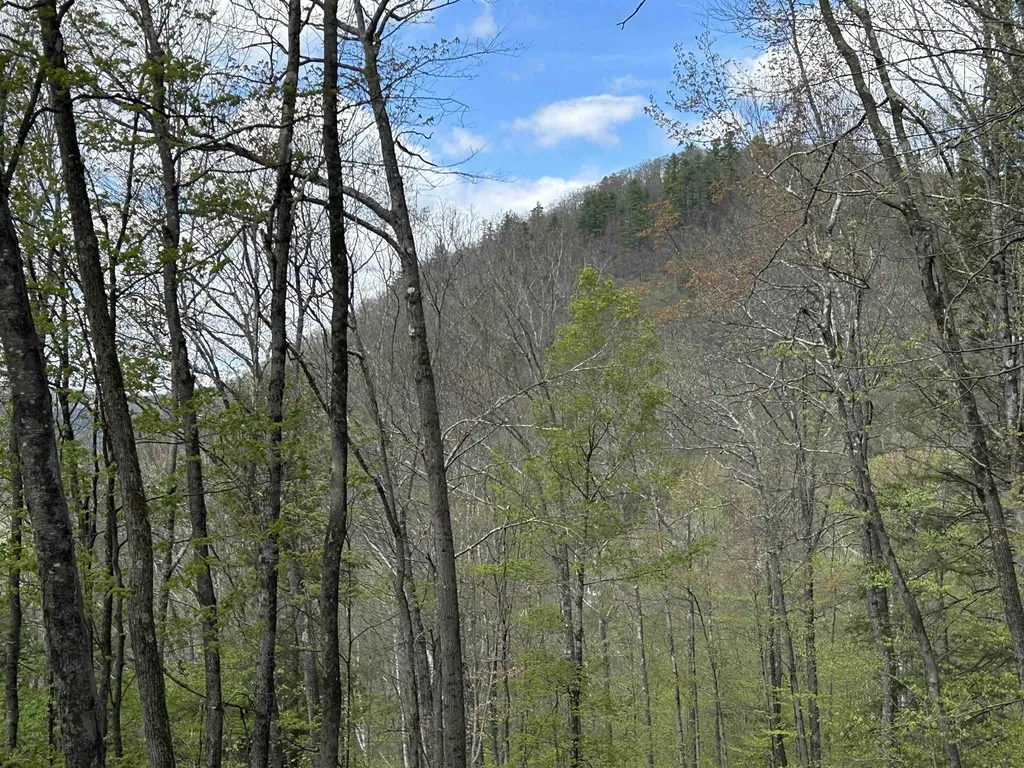188 Rattlesnake Mountain Road Townshend VT 05353