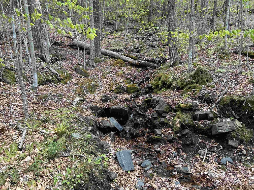 188 Rattlesnake Mountain Road Townshend VT 05353