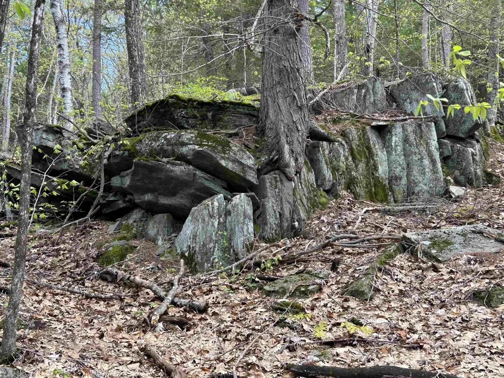 188 Rattlesnake Mountain Road Townshend VT 05353