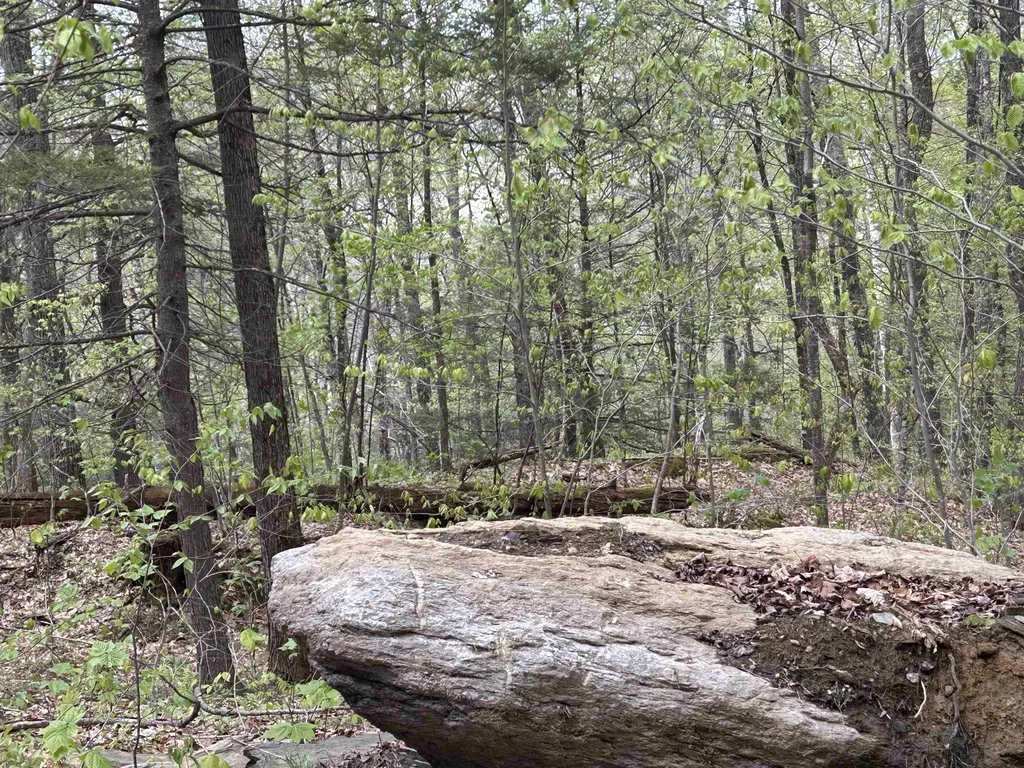 188 Rattlesnake Mountain Road Townshend VT 05353