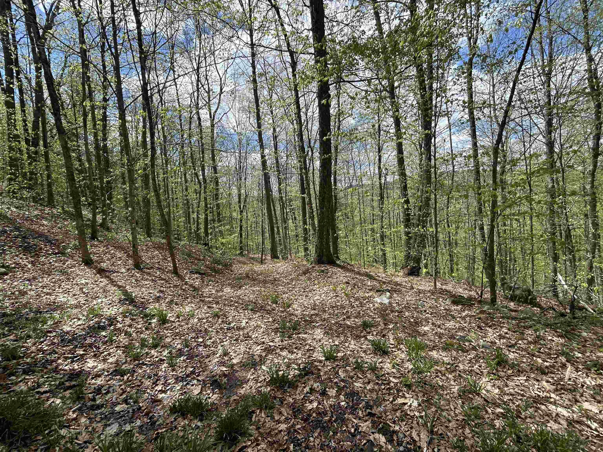 188 Rattlesnake Mountain Road Townshend VT 05353