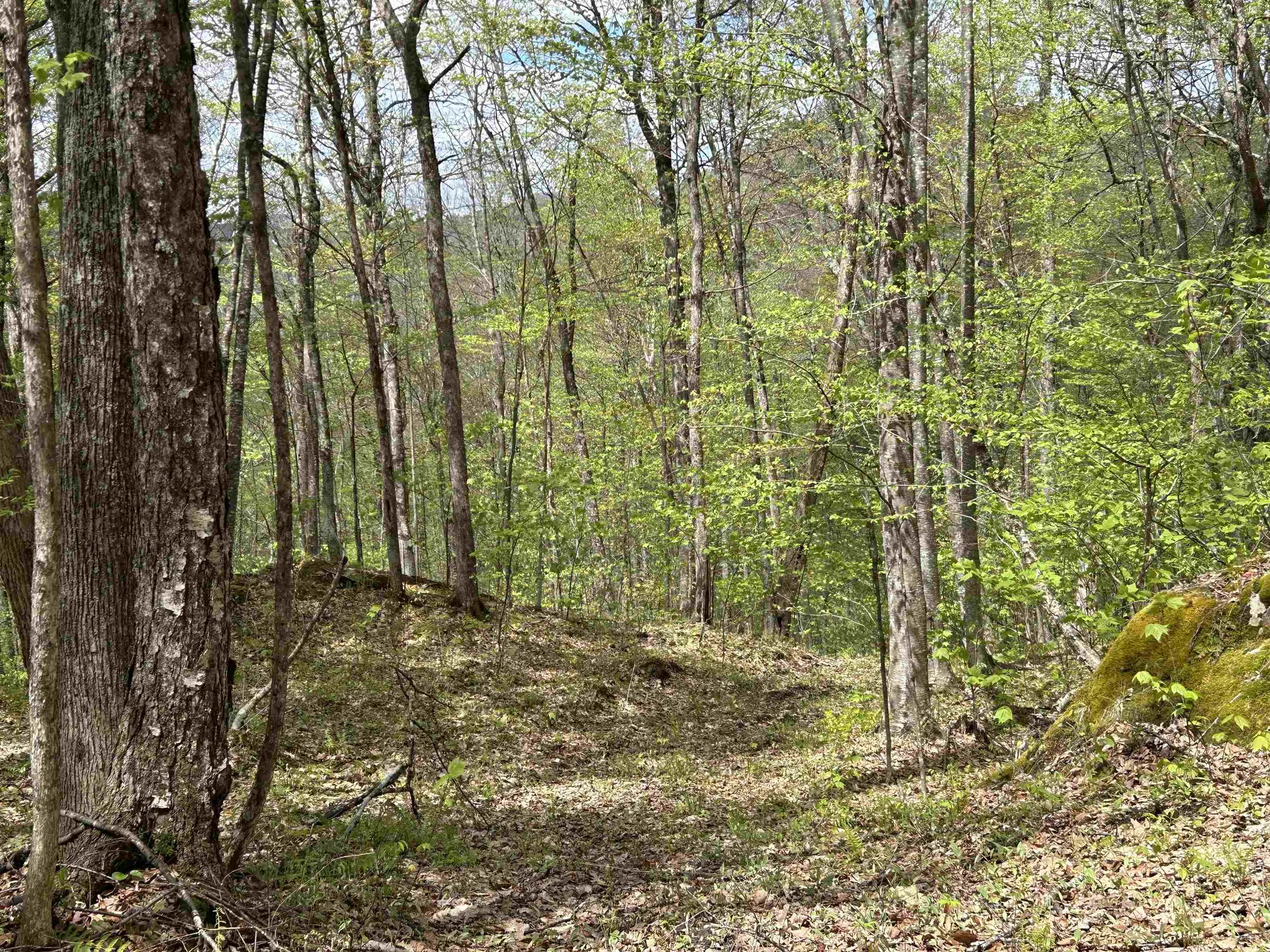 188 Rattlesnake Mountain Road Townshend VT 05353