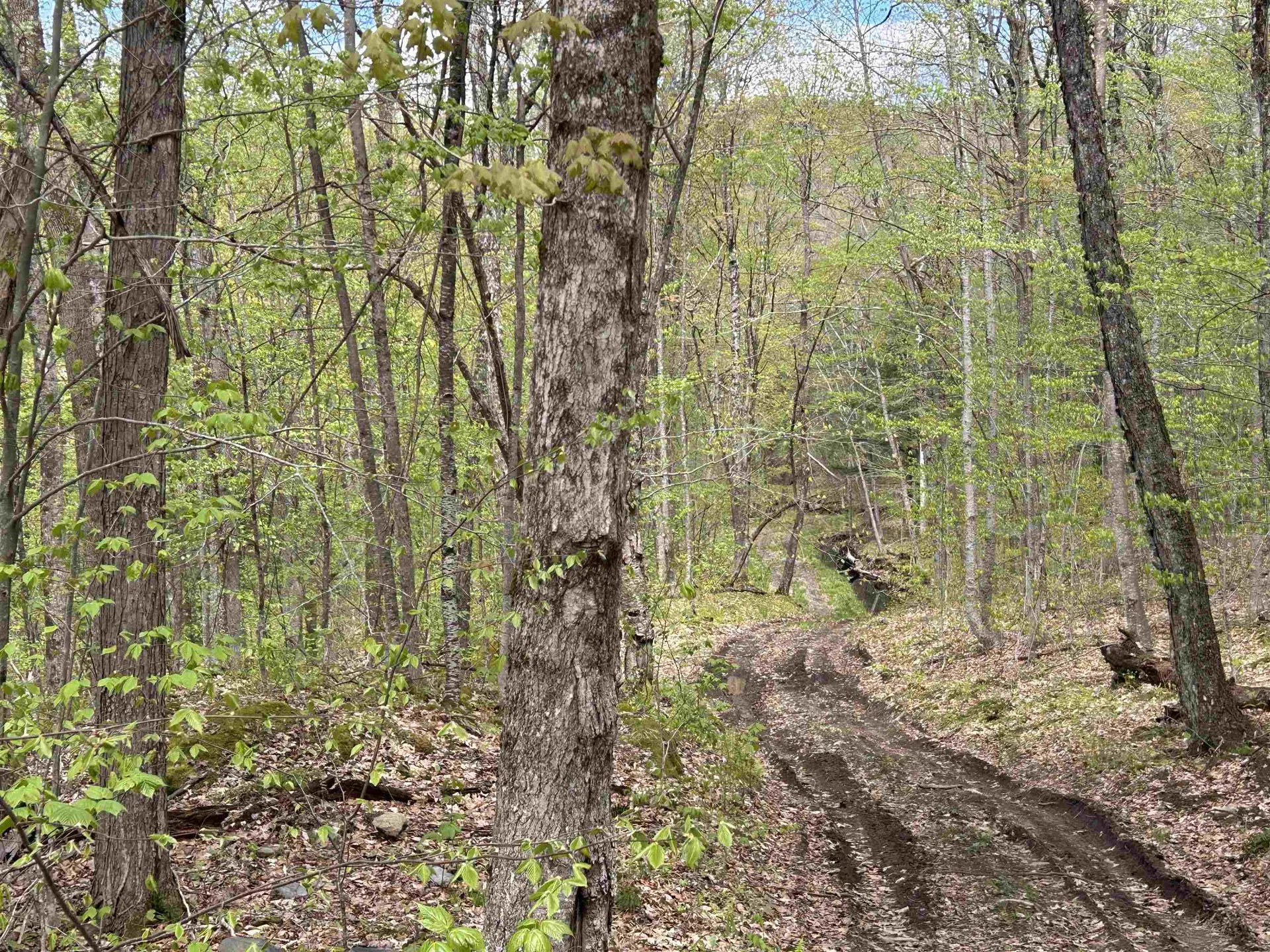 188 Rattlesnake Mountain Road Townshend VT 05353