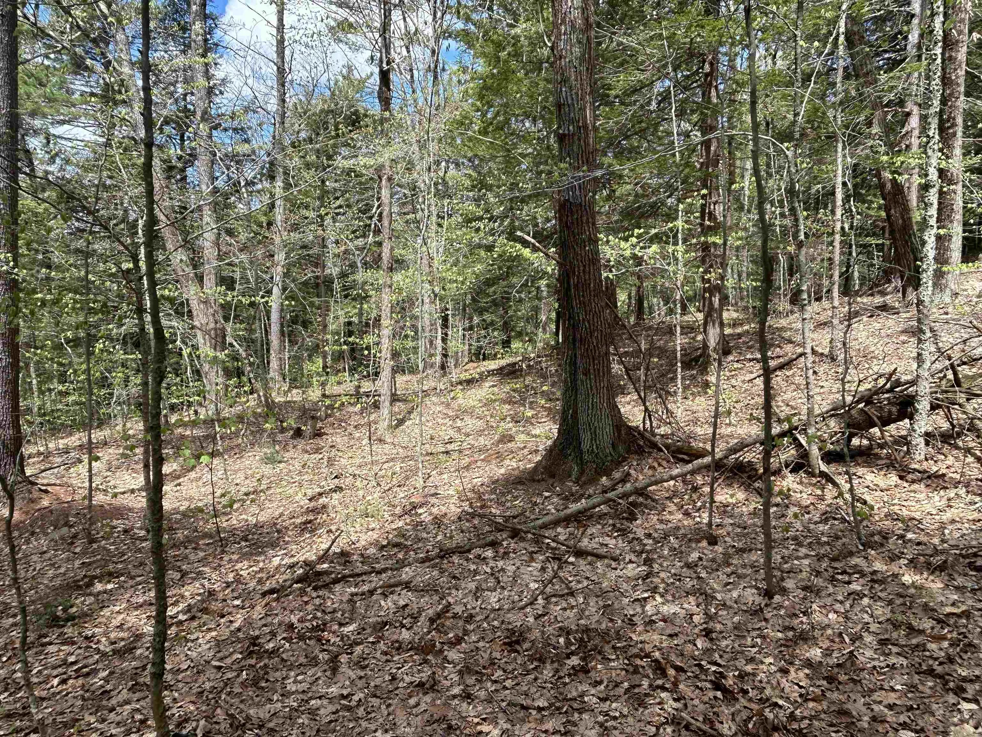 188 Rattlesnake Mountain Road Townshend VT 05353