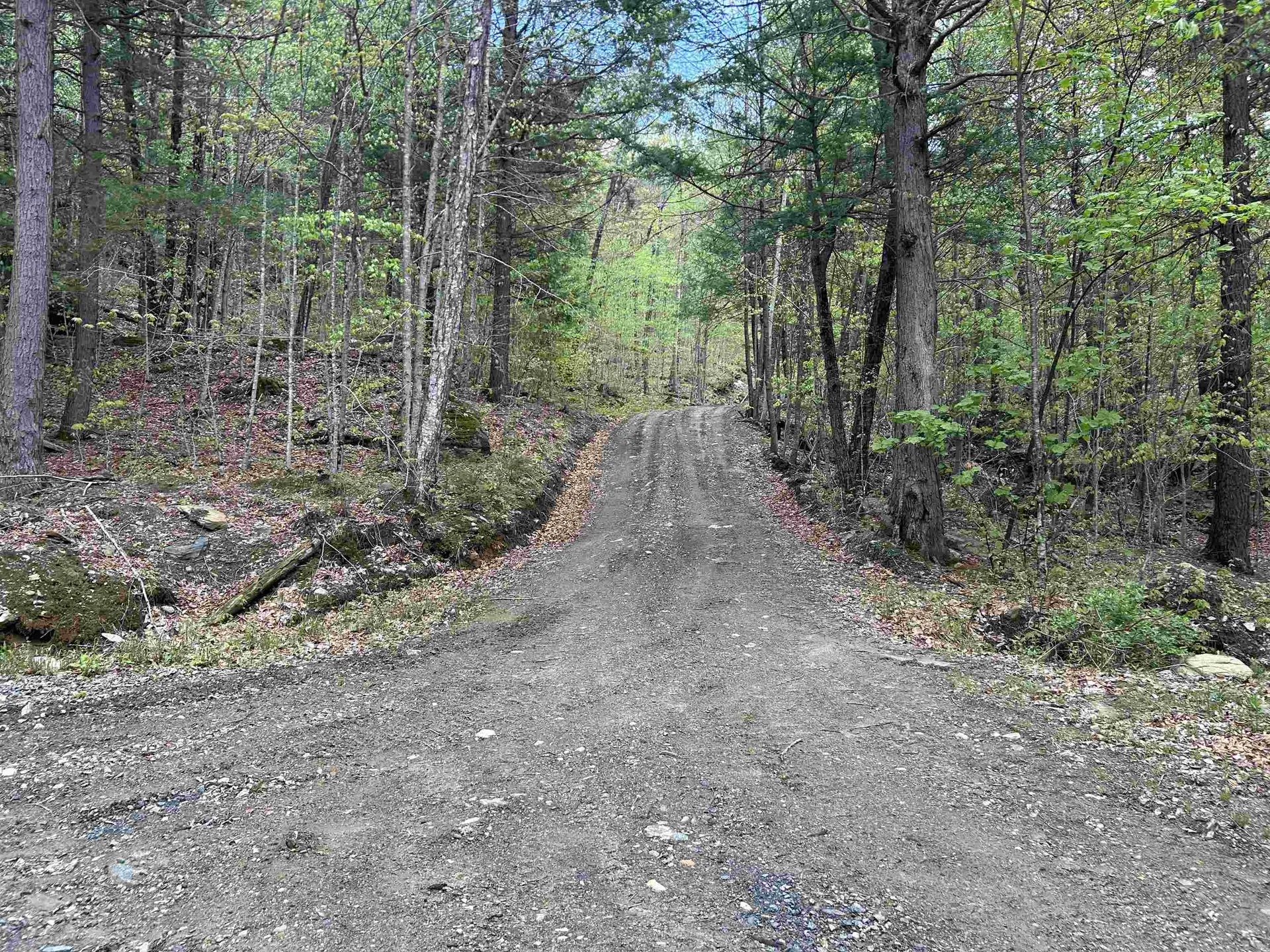 188 Rattlesnake Mountain Road Townshend VT 05353