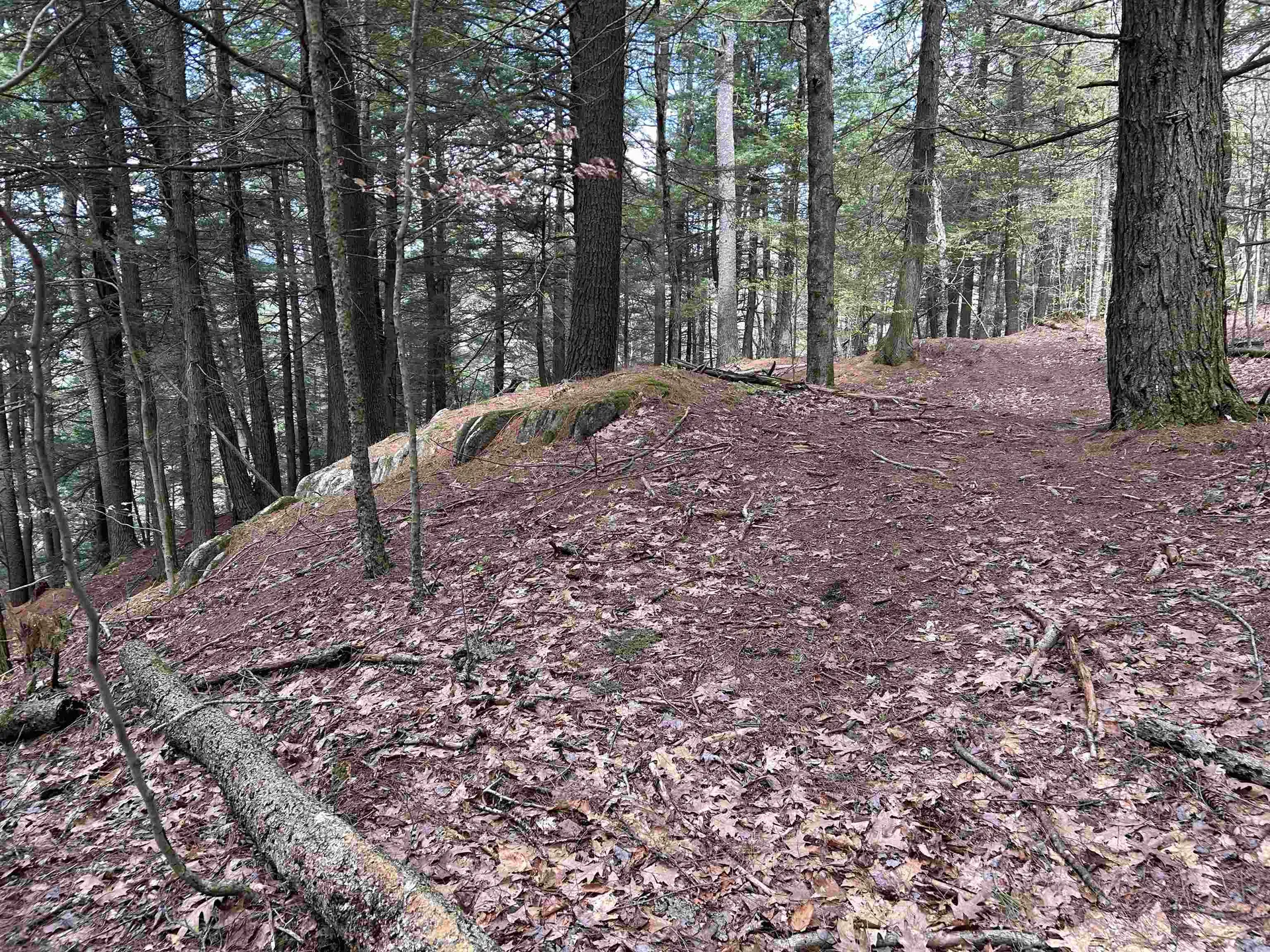 188 Rattlesnake Mountain Road Townshend VT 05353