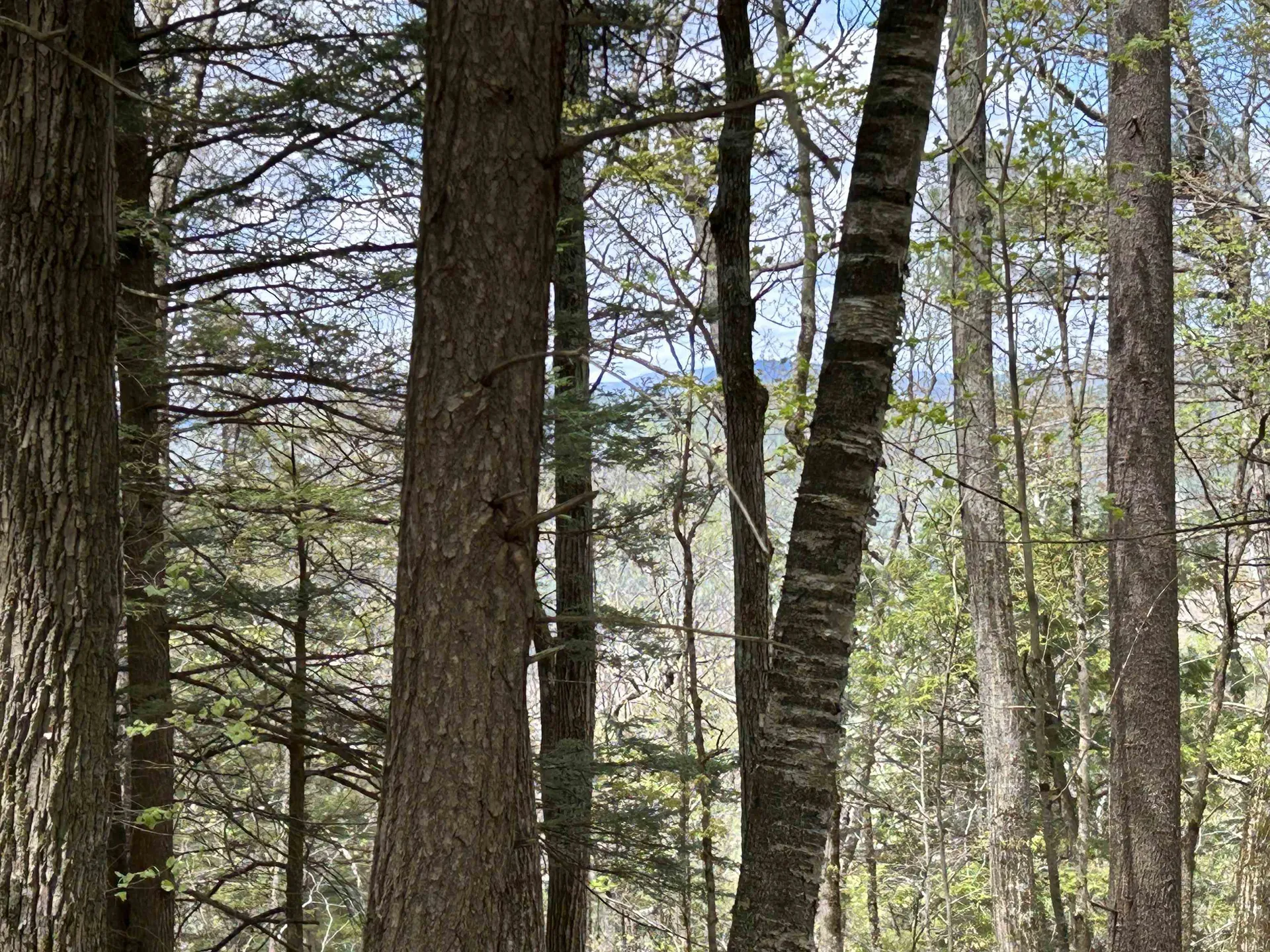 188 Rattlesnake Mountain Road Townshend VT 05353