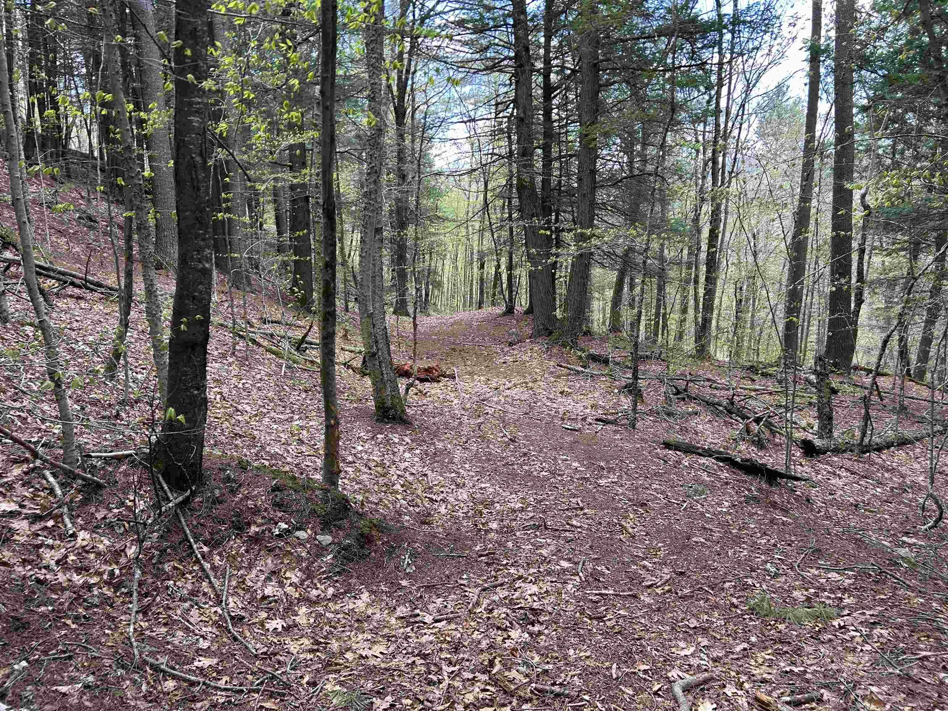 188 Rattlesnake Mountain Road Townshend VT 05353
