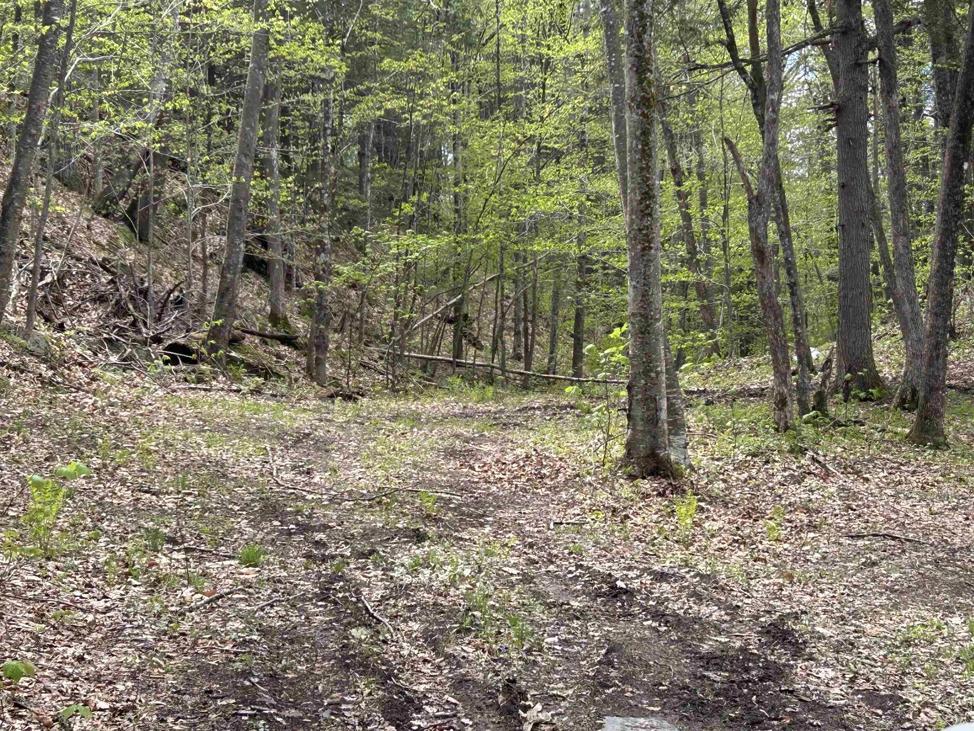 188 Rattlesnake Mountain Road Townshend VT 05353