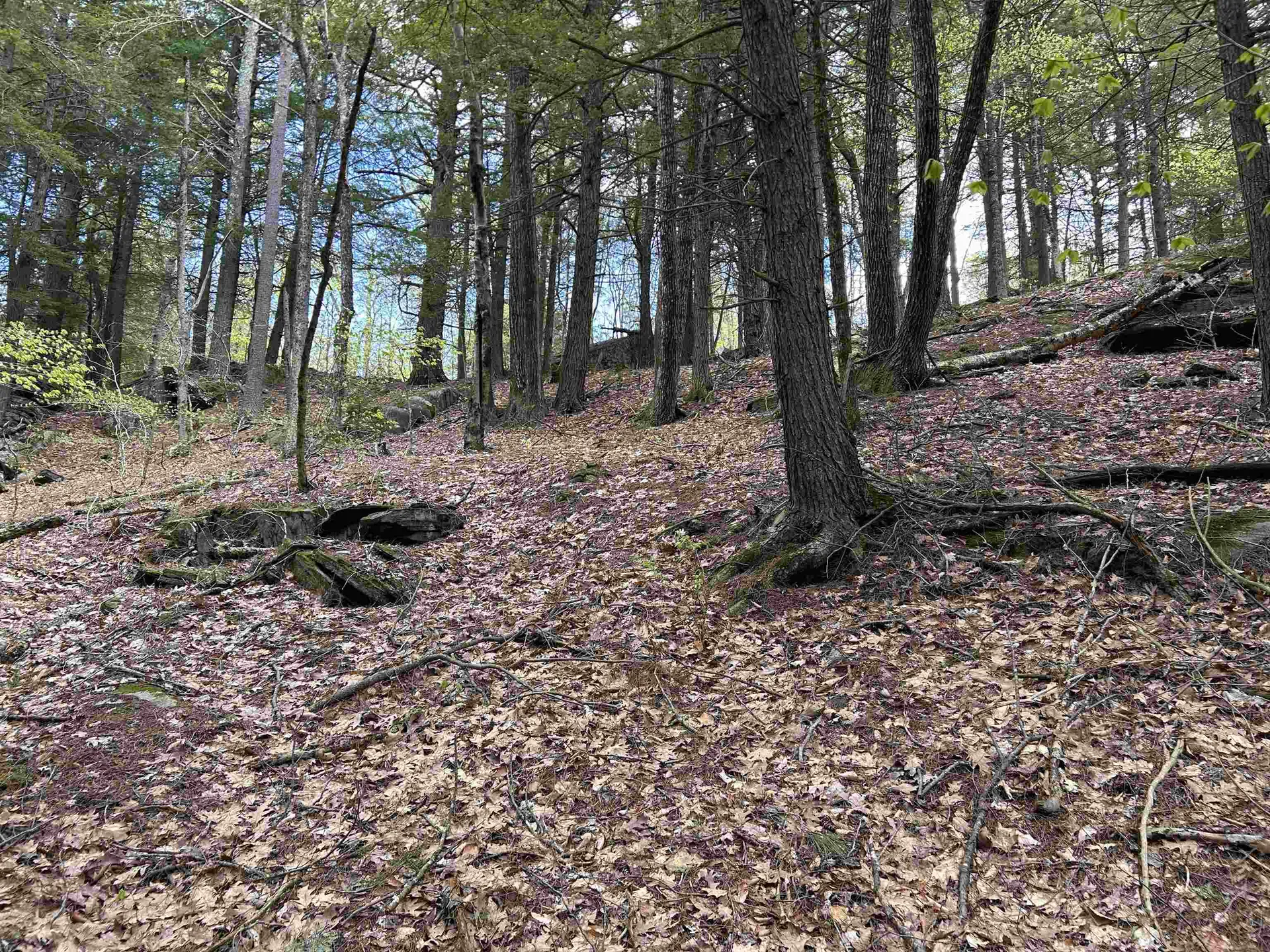 188 Rattlesnake Mountain Road Townshend VT 05353