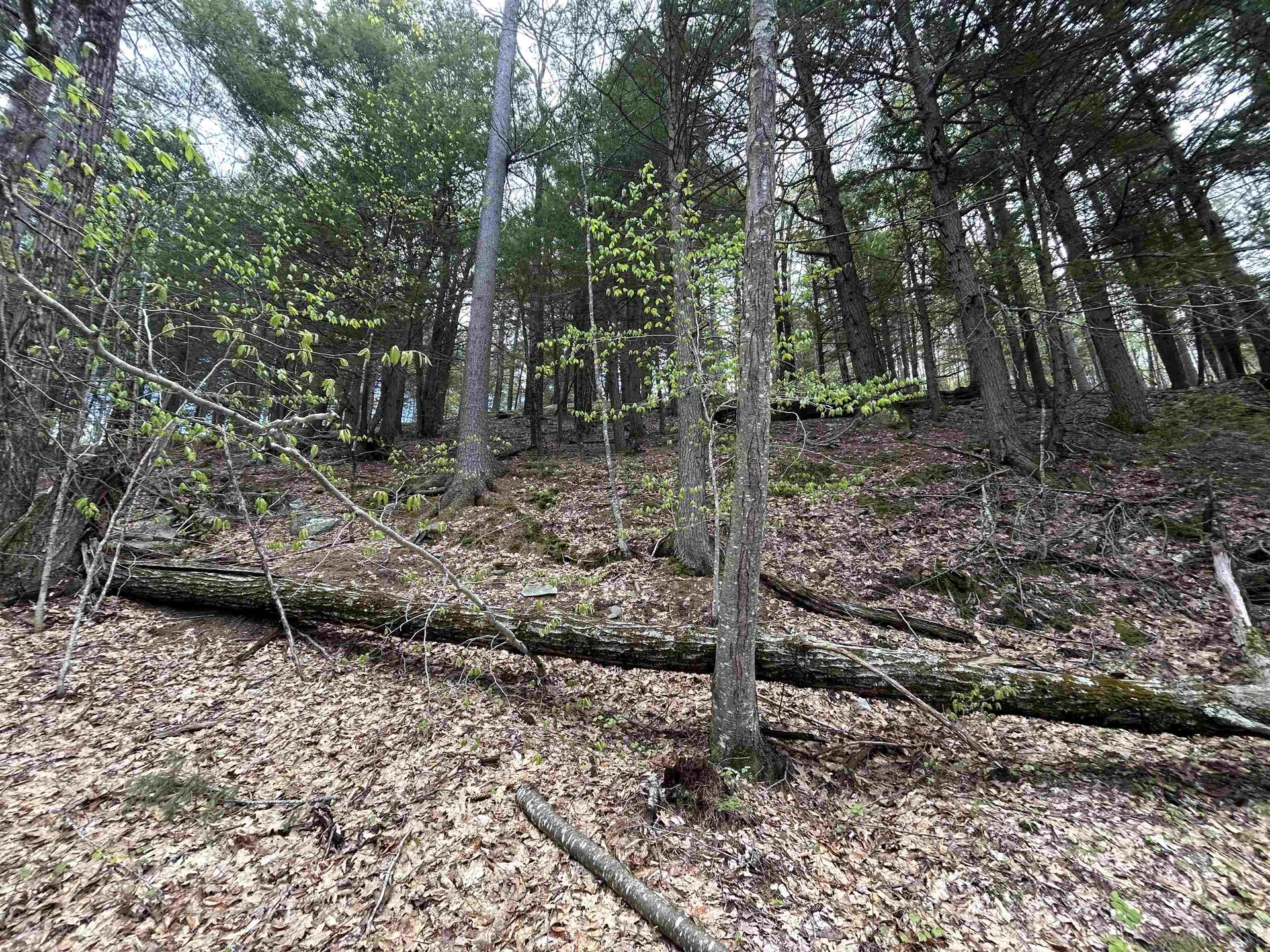 188 Rattlesnake Mountain Road Townshend VT 05353