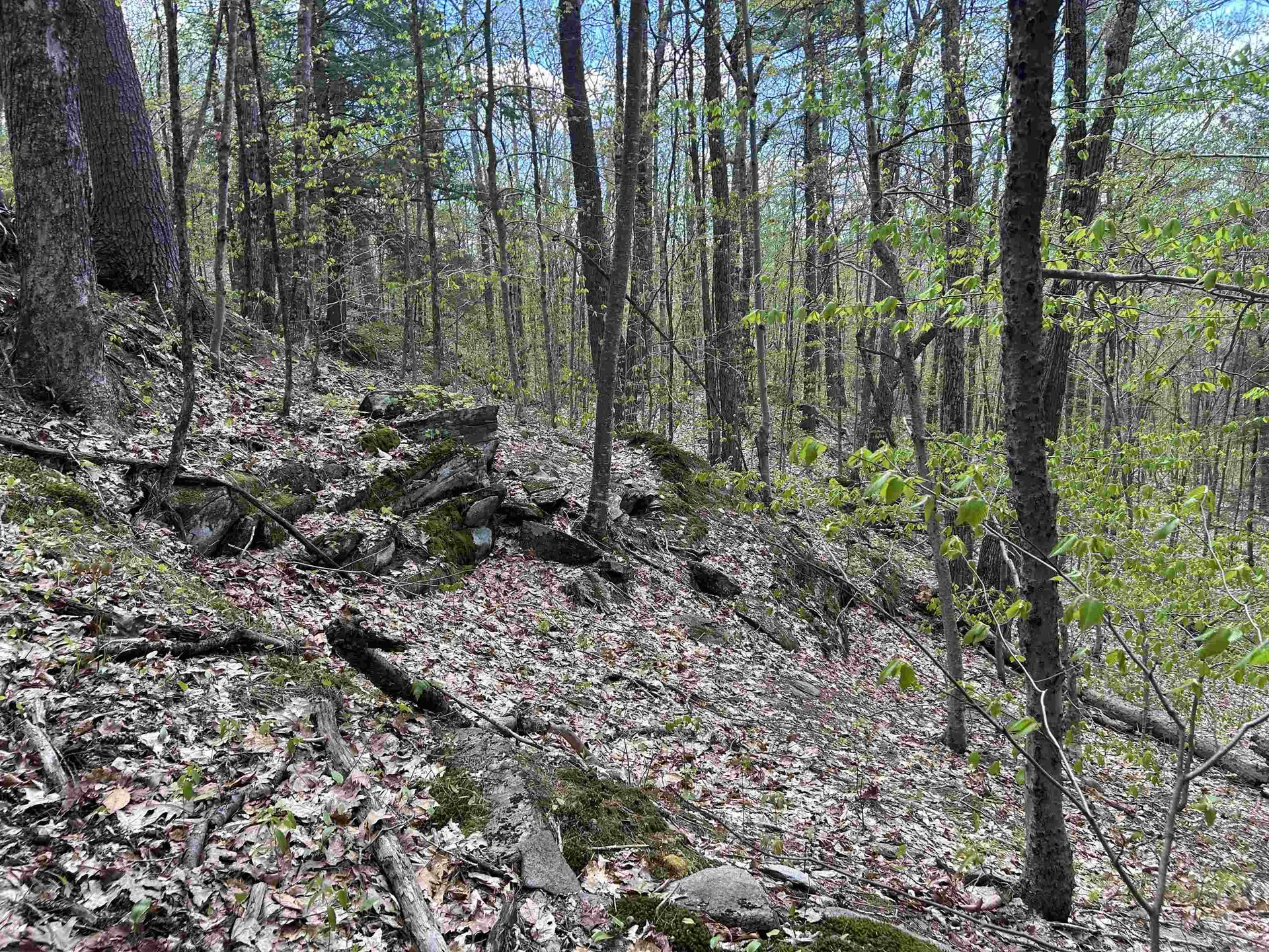 188 Rattlesnake Mountain Road Townshend VT 05353