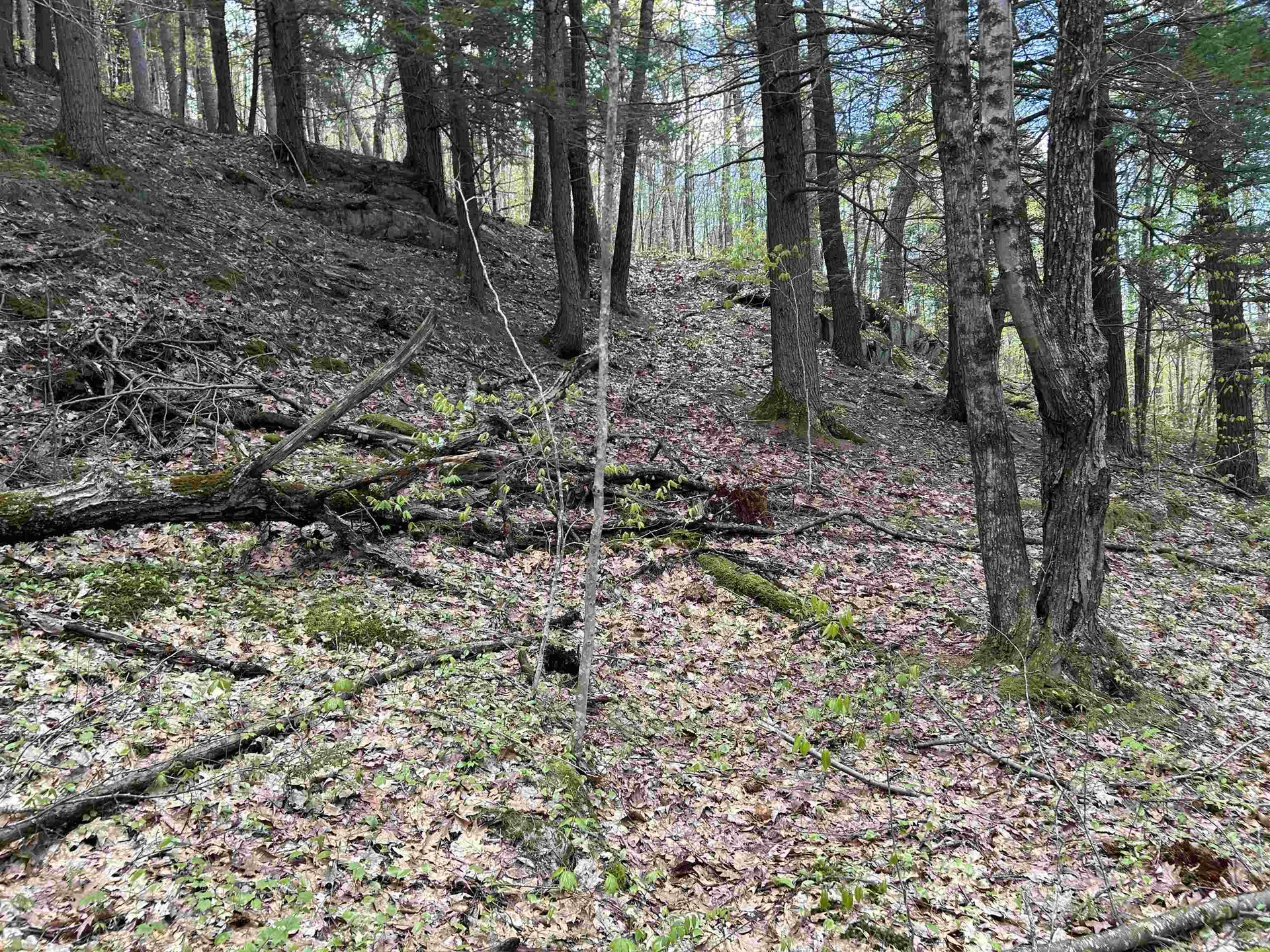 188 Rattlesnake Mountain Road Townshend VT 05353