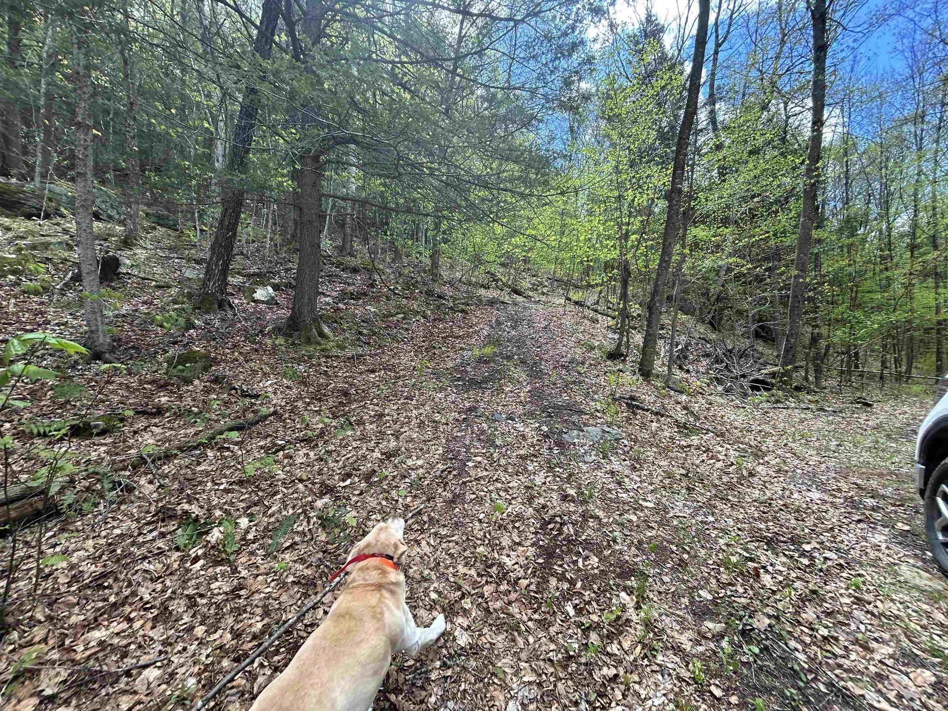188 Rattlesnake Mountain Road Townshend VT 05353