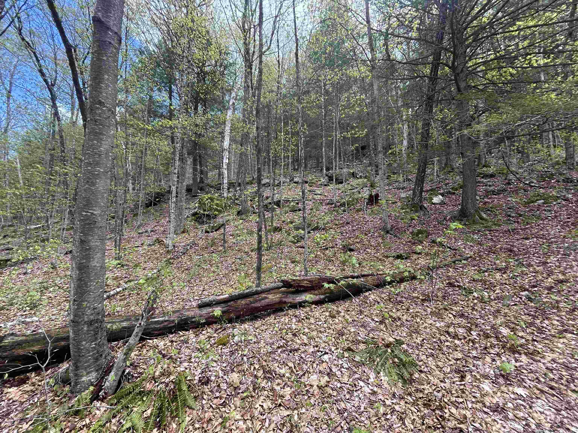 188 Rattlesnake Mountain Road Townshend VT 05353