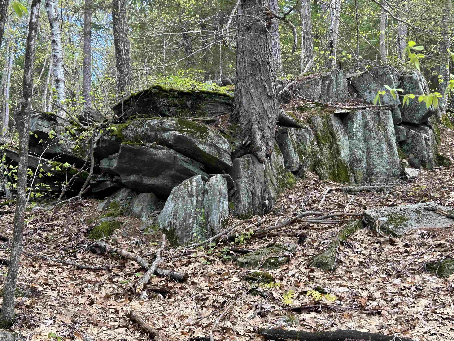 188 Rattlesnake Mountain Road Townshend VT 05353