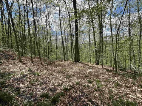 188 Rattlesnake Mountain Road Townshend VT 05353