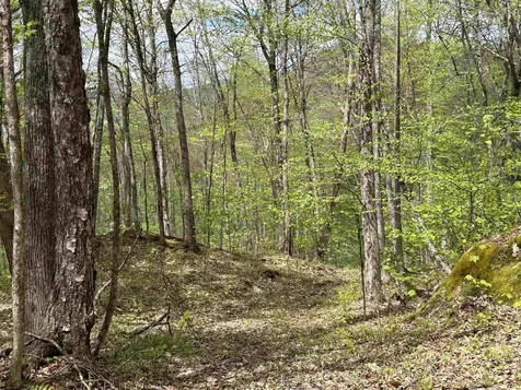 188 Rattlesnake Mountain Road Townshend VT 05353