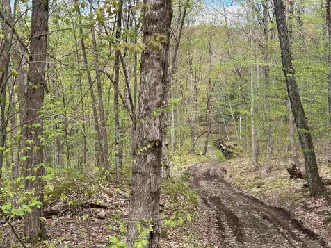 188 Rattlesnake Mountain Road Townshend VT 05353