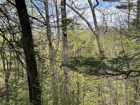 188 Rattlesnake Mountain Road Townshend VT 05353