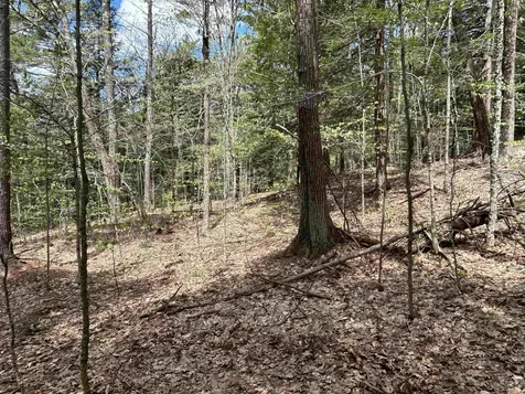 188 Rattlesnake Mountain Road Townshend VT 05353