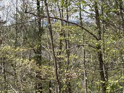 188 Rattlesnake Mountain Road Townshend VT 05353