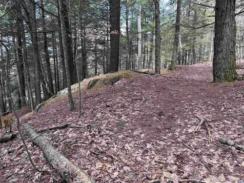 188 Rattlesnake Mountain Road Townshend VT 05353