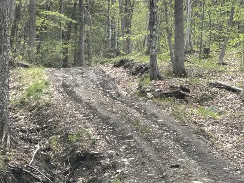 188 Rattlesnake Mountain Road Townshend VT 05353