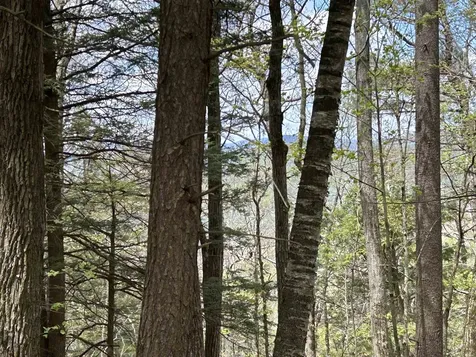 188 Rattlesnake Mountain Road Townshend VT 05353