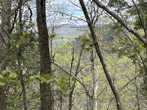 188 Rattlesnake Mountain Road Townshend VT 05353