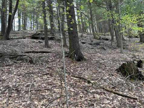 188 Rattlesnake Mountain Road Townshend VT 05353