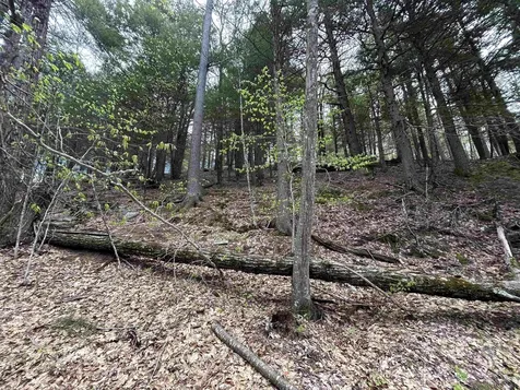 188 Rattlesnake Mountain Road Townshend VT 05353
