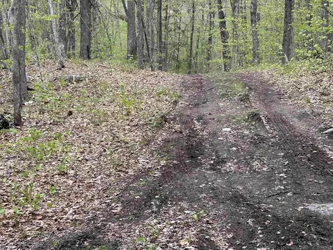 188 Rattlesnake Mountain Road Townshend VT 05353