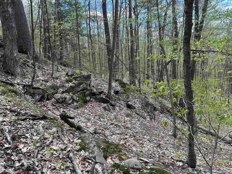 188 Rattlesnake Mountain Road Townshend VT 05353