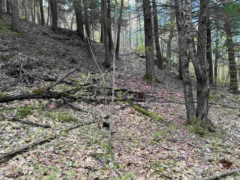 188 Rattlesnake Mountain Road Townshend VT 05353