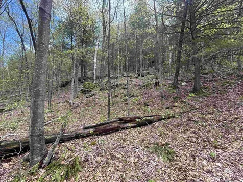 188 Rattlesnake Mountain Road Townshend VT 05353