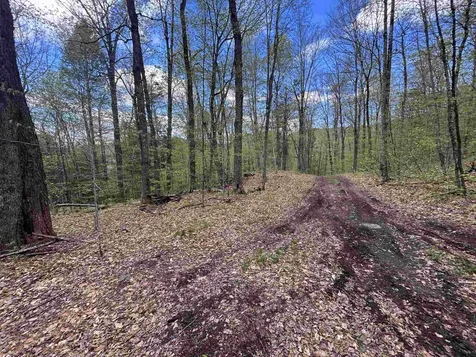 188 Rattlesnake Mountain Road Townshend VT 05353
